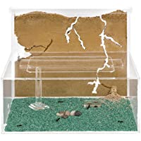 AntHouse - Hormiguero Natural de Arena - Kit L (Sándwich + Caja de Forrajeo) (Hormigas Gratis)